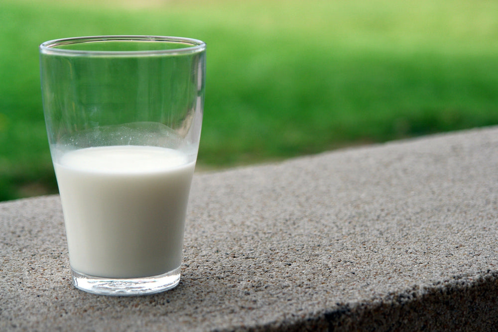 Plant-Based Milk vs Cow’s Milk: Which is Better?