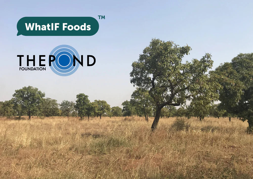 WhatIF Foods and The Pond Foundation partner to grow the ripple of change.