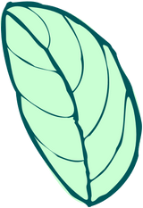 small light green leaf